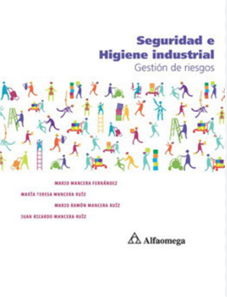 SEGURIDAD E HIGIENE INDUSTRIAL : GESTIÓN DE RIESGOS