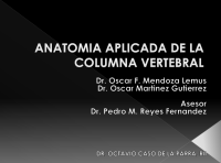 Image of ANATOMÍA APLICADA DE LA COLUMNA VERTEBRAL