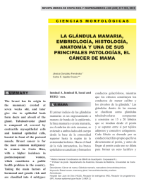 Image of LA GLANDULA MAMARIA, EMBRIOLOGÍA, HISTOLOGÍA, ANATOMÍA Y UNA DE SUS PRINCIPALES PATOLOGÍAS, EL CÁNCER DE MAMA