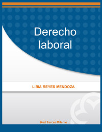 Image of DERECHO LABORAL