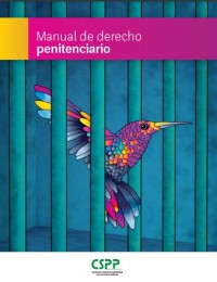 Image of MANUAL DE DERECHO PENITENCIARIO